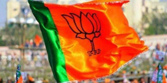 गुजरात की जूनागढ़ मनपा के चुनाव में बीजेपी की जबरदस्त जीत