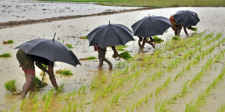 Centre Tells Odisha to Send List of Farmers Under PM-Kisan Scheme