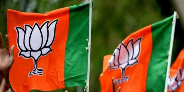 प्रदेश महामंत्री अनिल गोयल ने कहा कि अब किशोरों को भी पार्टी से जोड़ेगी भाजपा