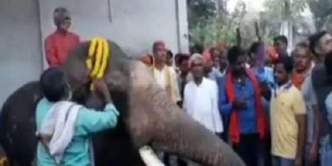 नवनिर्वाचित प्रतिनिधियों ने चुनाव खर्च का ब्योरा न दिया तो खतरे में पड़ेगी कुर्सी