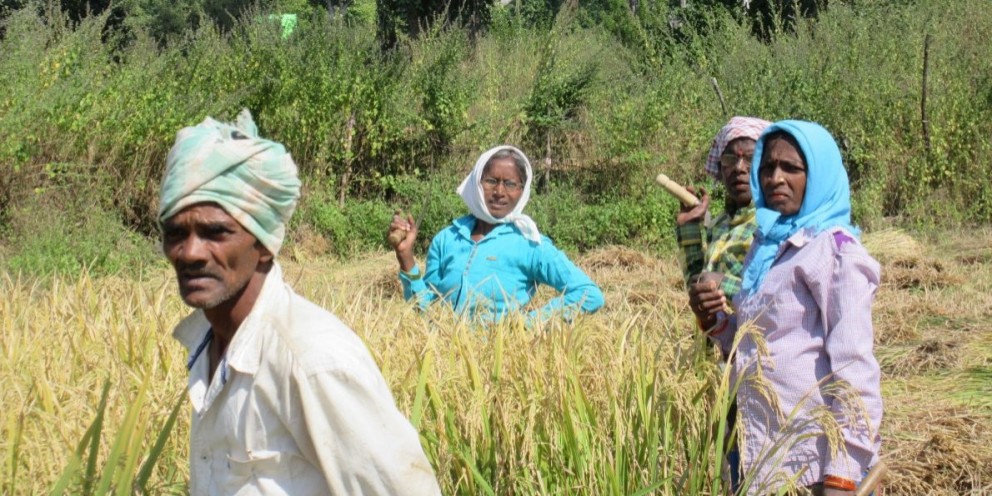 Why Voting Patterns of Farmers in Andhra Pradesh Go Beyond Agricultural Issues