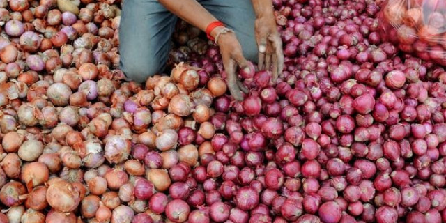 प्याज बेच रही है कमलनाथ सरकार: आइए, 50 रुपए में 1 किलो ले जाइए