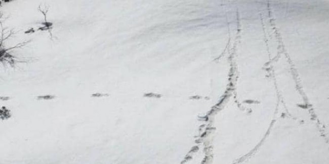 उमर अब्दुल्ला का तंज- येति से चुनाव प्रचार करा सकती है BJP, खोज रही तरीके