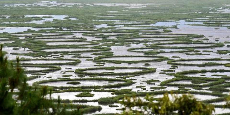 Manipur’s floating lake occupants mourn environment loss