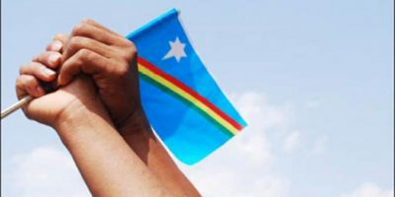 Rengma Hoho appeals Centre to respect Naga flag and constitution