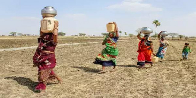 इन राज्यों में इसलिए मंडराया खेती पर संकट, सरकार ने तैयार किया प्लान!