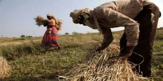 सीएम भूपेश बघेल: दोबारा नही करेगे किसानो का कर्ज माफ