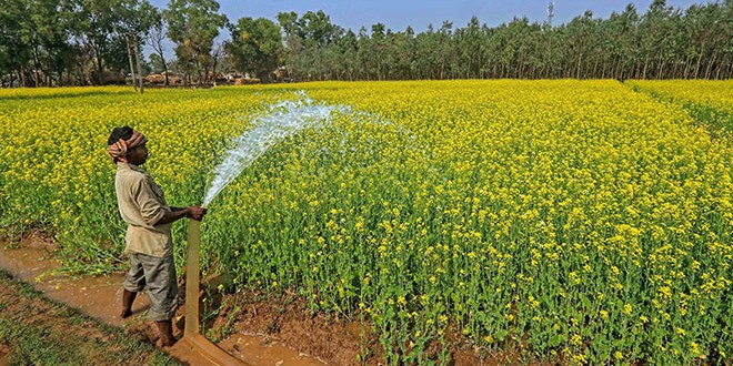 Govt forms high-powered committee to transform agriculture, raise farmers' income, suggest policy measures, attract investments