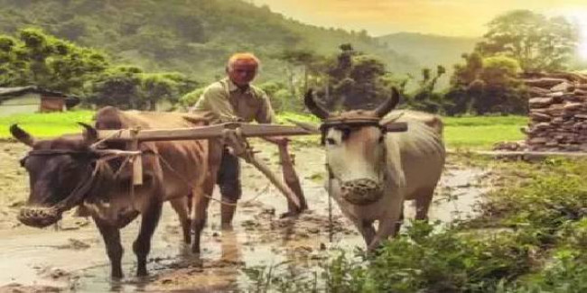 UP के एक भी किसान को नहीं मिली PM-KISAN योजना की तीसरी किश्त