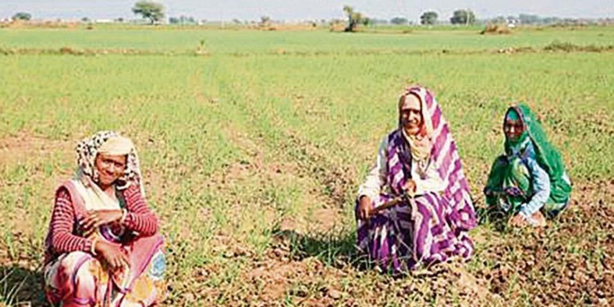 गोष्ठी में किसानों को सम्मान निधि योजना की दी गई कई जानकारी