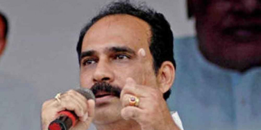 Efforts on to confine elephants toa permanent enclosure: Minister