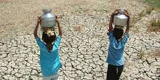 गुजरात में भीषण जलसंकट, कच्छ व सौराष्ट्र से पशुपालकों का पलायन