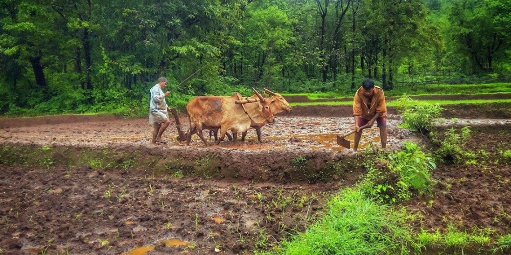 Goa's 'Model Villages' Shouldn't Be a Model for Anything