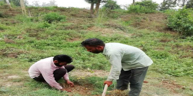 Snake scare stares at CM’s plantation drive