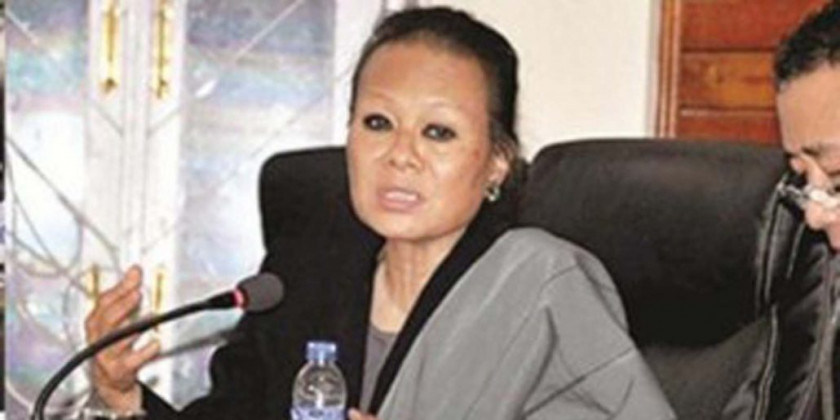 Nagaland govt forms 3-member commission to study & advise on RIIN