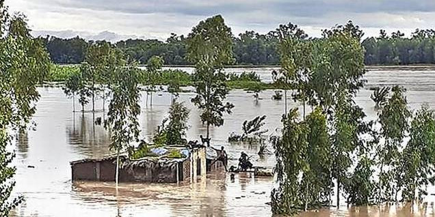 Punjab pegs flood loss at Rs 1,200 crore as central team assessed damage