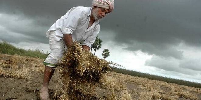 किसानों के लिए मोदी सरकार की नई स्कीम जीरो बजट खेती, जानिए इससे जुड़ी सभी बातें
