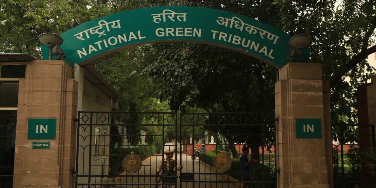 दिल्ली सरकार प्रदूषण रोकने के लिए क्या कर रही है: एनजीटी